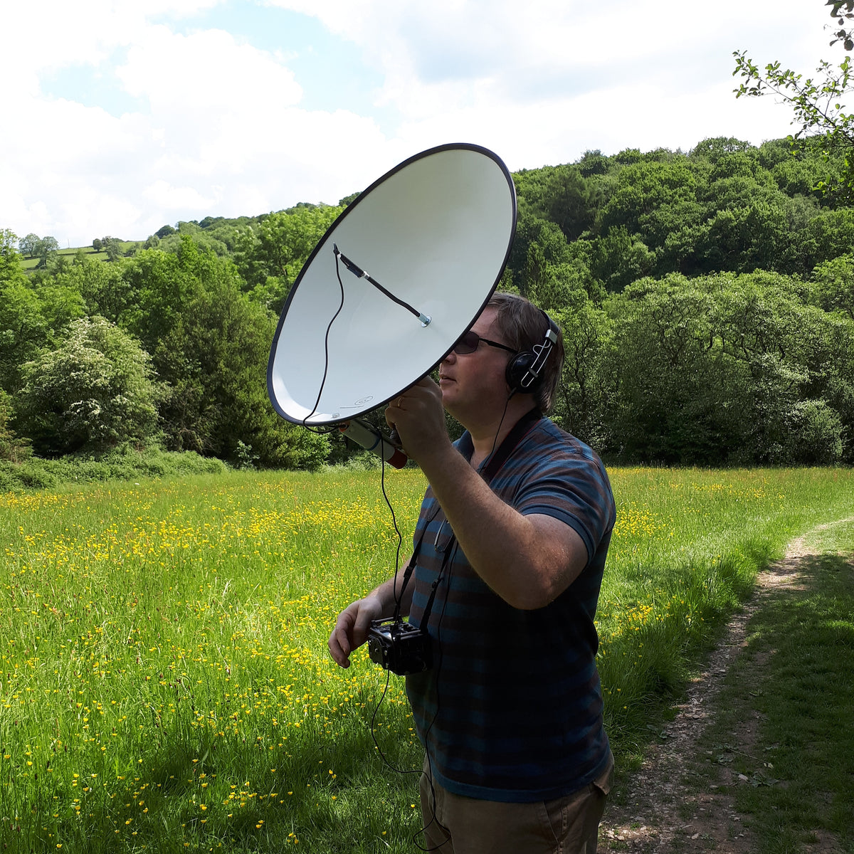 Searching for birds using a parabolic microphone